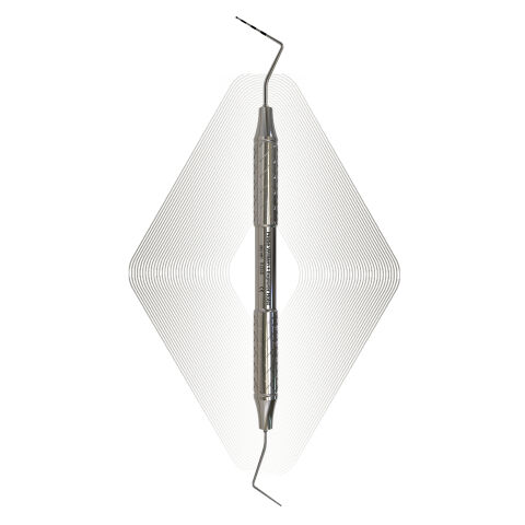Sonda  William + Explorer Holst