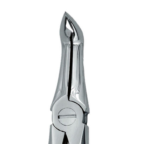 Kleště č. 46 - dolní kořenové