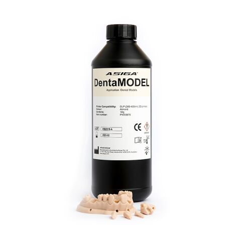 DentaMODEL 1kg