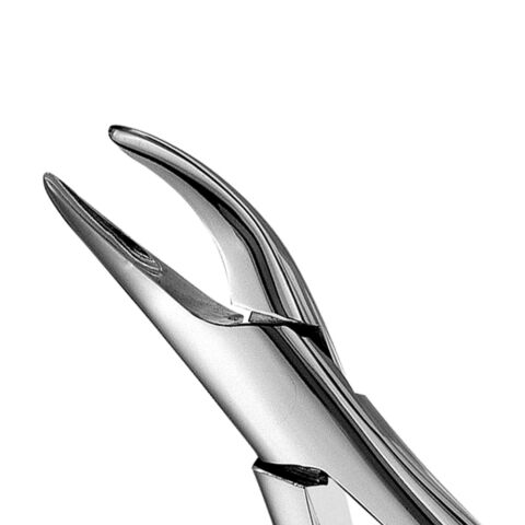 Forceps #69 SM root