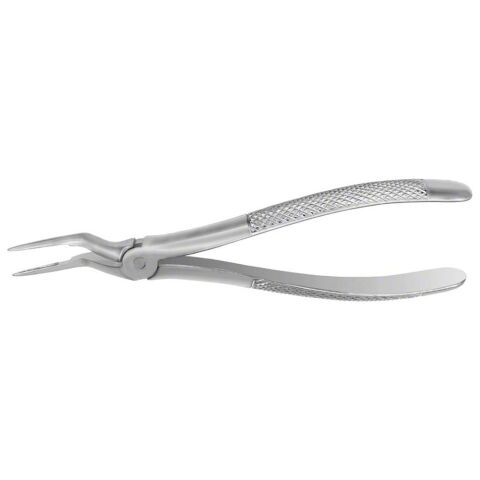 Forceps #97 Europ. SM Roots, EU