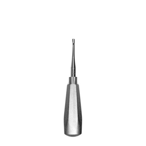 Elevator #77R SM Molar serrated, with small handle
