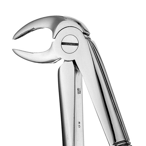 Forceps #33 Europ., IM Roots