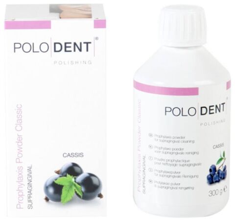 POLODENT Prophylaxis Powder Classic černý rybíz